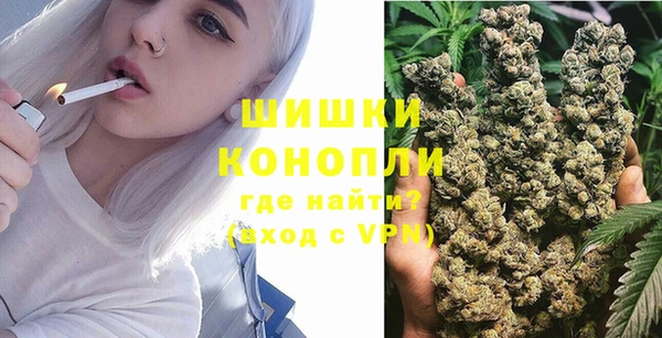 ПСИЛОЦИБИНОВЫЕ ГРИБЫ Краснотурьинск