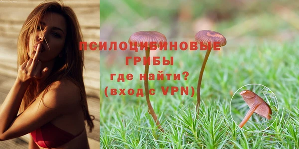 мяу мяу мука Лагань