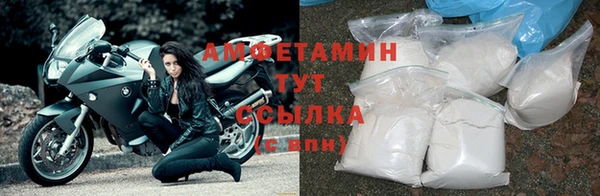 дмт Губаха